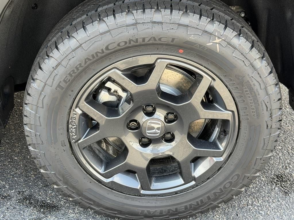 2026 Honda Pilot TrailSport