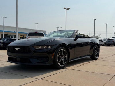 2025 Ford Mustang EcoBoost Premium