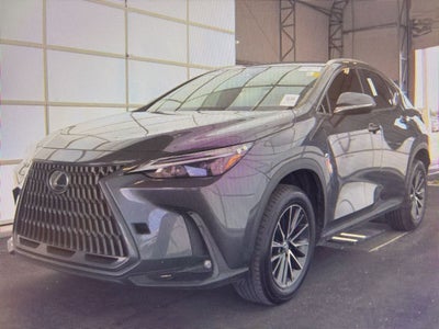 2024 Lexus NX 250 Base